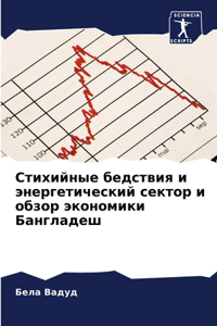 Стихийные бедствия и энергетический сект