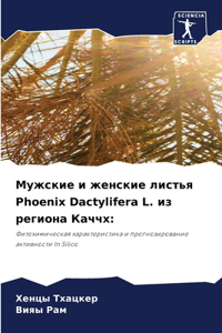 Мужские и женские листья Phoenix Dactylifera L. из региона К&#