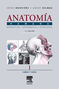 Anatomia Humana. Cabeza y Cuello - Tomo 1