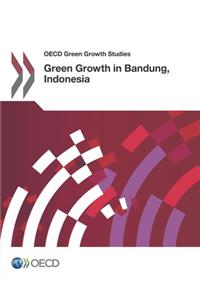 OECD Green Growth Studies Green Growth in Bandung, Indonesia