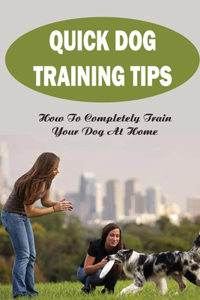 Quick Dog Training Tips
