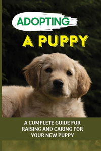 Adopting A Puppy