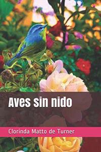 Aves sin nido