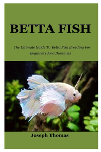 Betta Fish