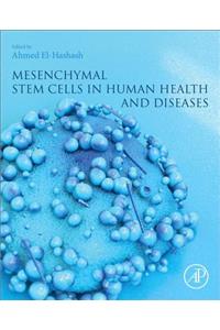 Mesenchymal Stem Cells in Human Health and Diseases