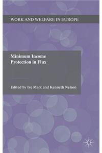 Minimum Income Protection in Flux