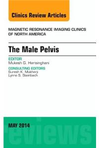 MRI of the Male Pelvis, an Issue of Magnetic Resonance Imaging Clinics of North America