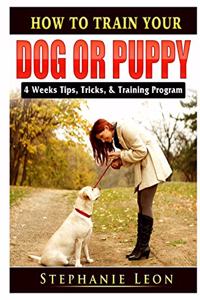 How to Train Your Dog or Puppy