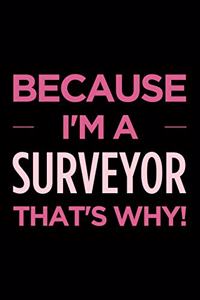 Because I'm a Surveyor That's Why