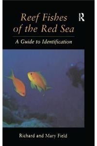 Reef Fish of the Red Sea