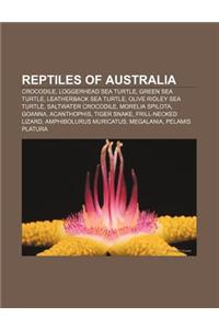 Reptiles of Australia: Crocodile, Loggerhead Sea Turtle, Green Sea Turtle, Leatherback Sea Turtle, Olive Ridley Sea Turtle, Saltwater Crocodi