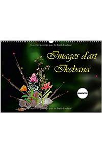 Images D'art Ikebana 2017
