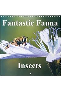 Fantastic Fauna - Insects. 2018