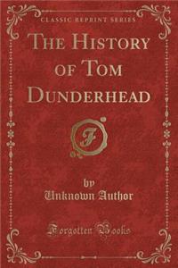The History of Tom Dunderhead (Classic Reprint)