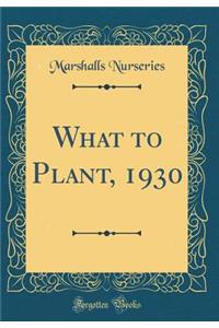 What to Plant, 1930 (Classic Reprint)