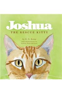 Joshua the Rescue Kitty