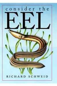 Consider the Eel