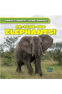 80-Year-Old Elephants!