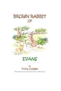 Brown Rabbit of Evans