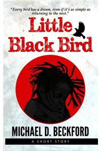 Little Black Bird
