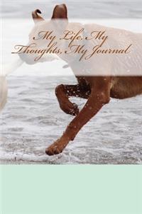 My Life, My Thoughts, My Journal