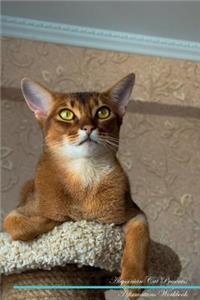 Abyssinian Cat Affirmations Workbook Abyssinian Cat Presents