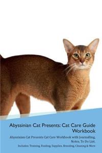 Abyssinian Cat Presents