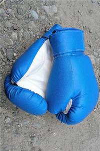 Boxing Gloves Journal