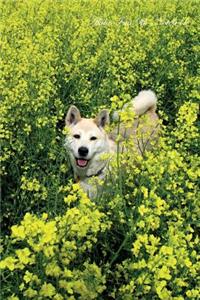 Akita Inu 9th Notebook Record Journal, Diary, Special Memories, To Do List, Academic Notepad, and Much More