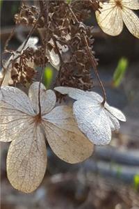 Hydrangea Flowers Journal