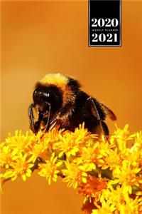 Bee Insects Beekeeping Beekeeper Week Planner Weekly Organizer Calendar 2020 / 2021 - Encrusted Flower