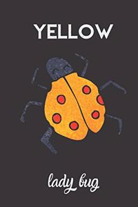 Yellow Lady Bug