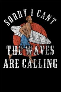 Sorry I Cant - The Waves Are Calling