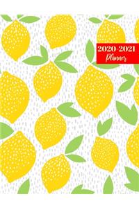 2020-2021 Planner