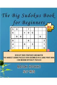 The Big Sudokus Book for Beginners #14