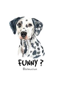 Funny Dalmatian