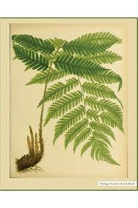 Vintage Nature Sketch Book