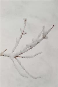2019 Weekly Planner Snowy Branch 134 Pages