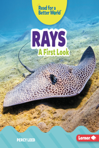 Rays