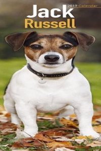 Jack Russell Slim Calendar 2019