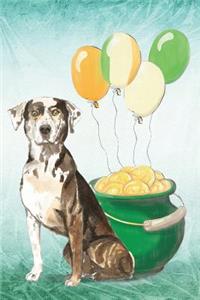 Catahoula Leopard Dog
