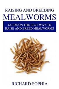 Raising and Breeding Mealworms