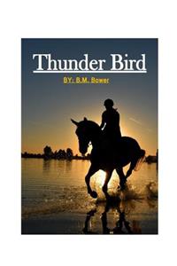 Thunder Bird