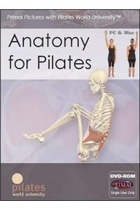 Anatomy for Pilates