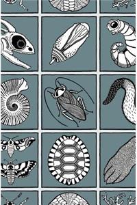 The Secret Life of the Panda