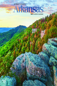 Arkansas Wild & Scenic 2023 Square Foil