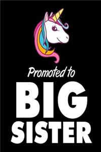 Promoted To Big Sister