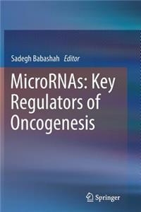 Micrornas: Key Regulators of Oncogenesis