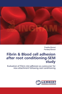 Fibrin & Blood cell adhesion after root conditioning-SEM study
