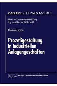 Prozeßgestaltung in industriellen Anlagengeschäften